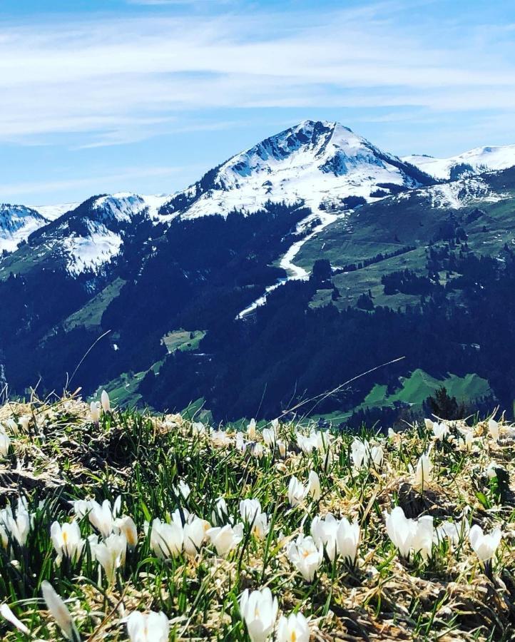 Sonnenschein Appartement Rebecca Kirchberg in Tirol Kültér fotó
