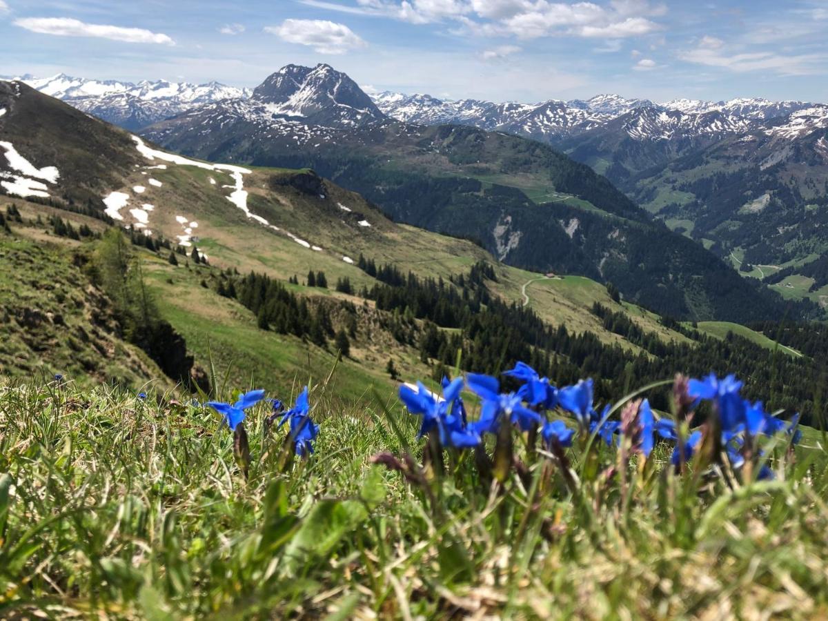 Sonnenschein Appartement Rebecca Kirchberg in Tirol Kültér fotó