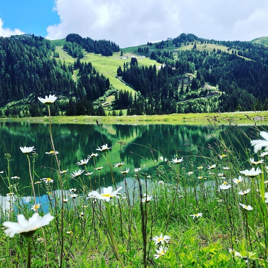 Sonnenschein Appartement Rebecca Kirchberg in Tirol Kültér fotó